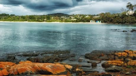 Better than the rest: how Shetland's women became the toast of Tasmania
