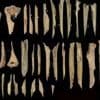 Fleisch vom Feind: In Nordspanien führte ein Dorfstreit zu Kannibalismus