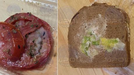 Policías y guardias civiles muestran la otra cara de la cumbre de la ONU: tomate con moho y bocadillos sin casi relleno