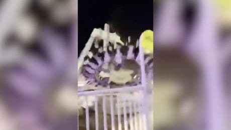 Quatre blessés graves après la chute d'une attraction en Arabie Saoudite
