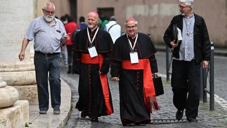 Élection du nouveau pape : tous les 133 cardinaux électeurs sont arrivés à Rome