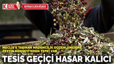 Meclis’e taşınan madencilik düzenlemesine Zeytin Konseyi’nden tepki var! Tesis geçici hasar kalıcı