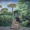2025 Sony World Photography Awards: Winners revealed