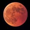 Totale Mondfinsternis am Wochenende: Warum Sie den Blutmond nicht verpassen sollten – und wann genau es losgeht