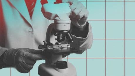 La fraude aux publications scientifiques s’industrialise, alerte une étude américaine
