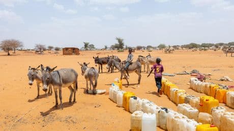 Europe leads calls for ‘immediate’ end to fighting in Sudan as war enters third year