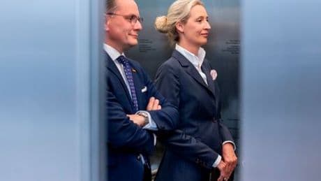 AfD-Gutachten des Verfassungsschutzes: Das steht drin