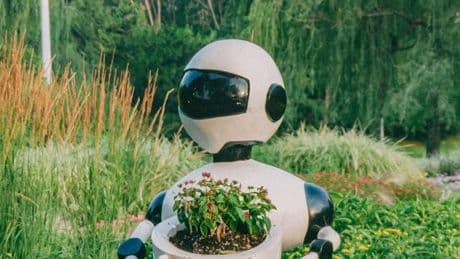 Künstliche Intelligenz: Nachfrage nach KI-Experten in Deutschland ist gering