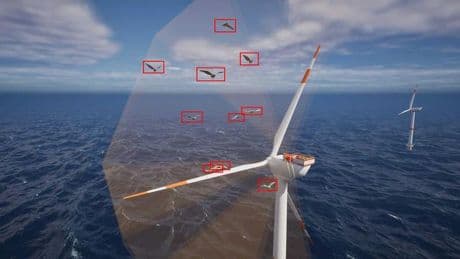 Vogelfreundliche Windparks: Mit Adleraugen