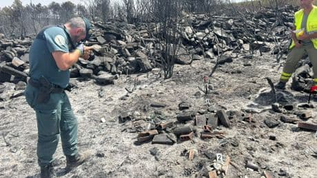 Rayos, negligencias, efecto lupa... las causas de los incendios que azotan España