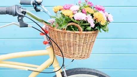 Beginner’s guide to buying bikes for 2025 – find your perfect ride