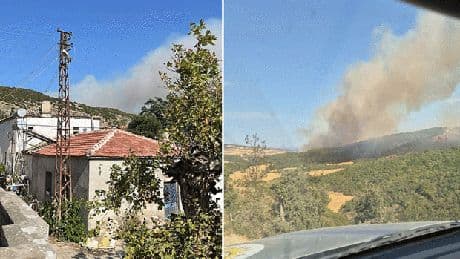 Son dakika... Çanakkale ve Sinop'ta orman yangını: Ekipler müdahale ediyor