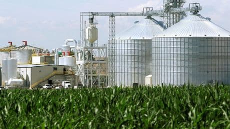 Washington veut interdire l’achat de terres agricoles américaines par des investisseurs chinois