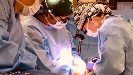 ¿Es ético experimentar con personas en muerte cerebral? &quot;En España, se consideran legalmente fallecidas&quot;