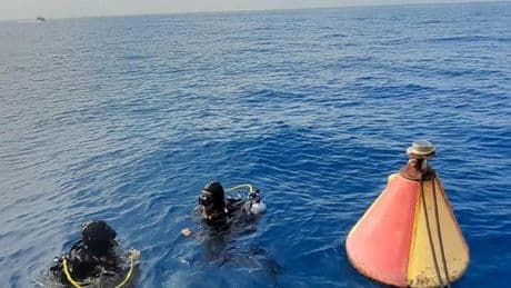 Il mar Ligure si sta riscaldando troppo, con effetti pericolosi su meteo e pesci | Grafico