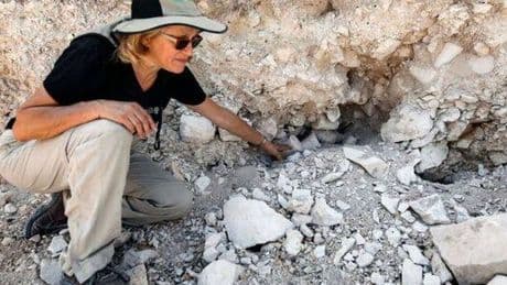 Site where Jesus turned water into wine 'found' by archaeologists