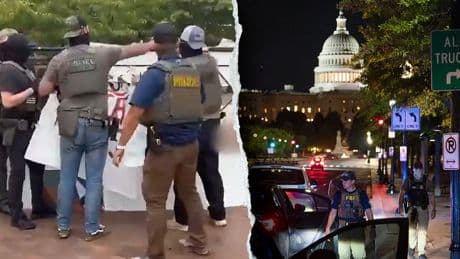 WATCH: Agents rip down vulgar anti-ICE sign amid Trump DC takeover: 'Taking America back'