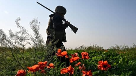 UN-Blauhelme in der Ukraine: Peace Keeping, nicht Peace Enforcement