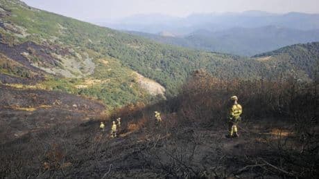 Los efectivos aragoneses en León siguen luchando contra el fuego: atacan por cielo y tierra los incendios