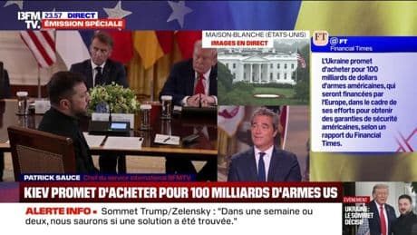 Sommet à la Maison-Blanche: l'Ukraine propose à Donald Trump un contrat d'armement de 100 milliards de dollars pour obtenir des garanties de sécurité