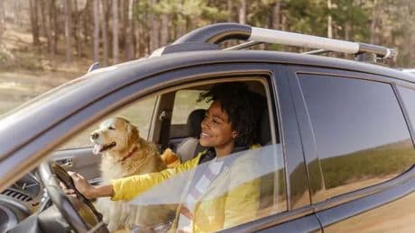 Vets names one thing you should always do when going on holiday with your dog