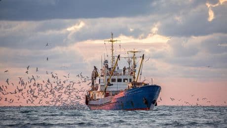 Il mare diventa risorsa fondamentale che unisce i popoli e crea sviluppo