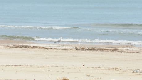 Muere ahogada una mujer en una playa de Cullera