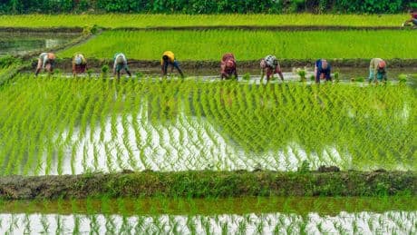 ¿Viajas a Asia este verano? Así puedes evitar problemas con los monzones
