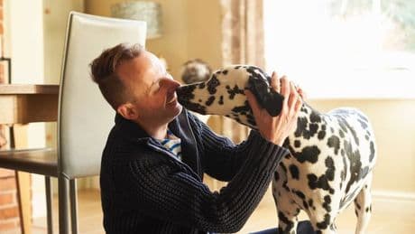 'I'm a vet - here's what your dog is trying to say when they nuzzle you'