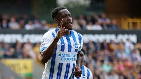 Danny Welbeck finally reaches career milestone as Brighton striker closes in on most prolific season with penalty in win over Wolves