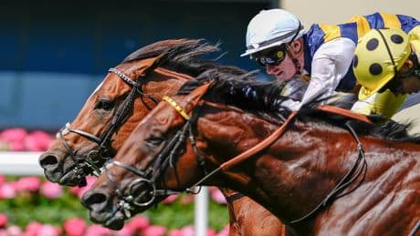 Royal Ascot 2025 day 1 results as Rosallion denied in thrilling Queen Anne Stakes