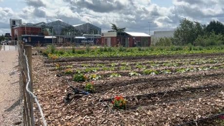 "Comme si on cuisinait avec le jardin": Le Cageot, un food court en circuit court à Fâches-Thumesnil