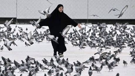 The top photos of the day by AP's photojournalists