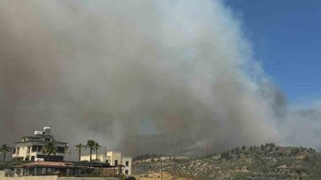 Hatay’da orman yangını