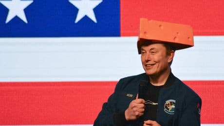 Elon Musk says DOGE is 'a way of life, like Buddhism' and could last until 2029