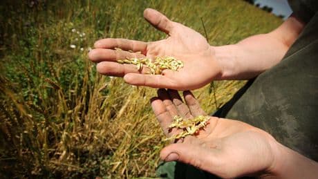 Agricultura regenerativa: la nueva moda sin base científica del ecologismo vendehúmos