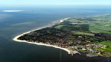 Es geht um Gänse - Belohnung nach Tier-Massaker auf Nordsee-Insel
