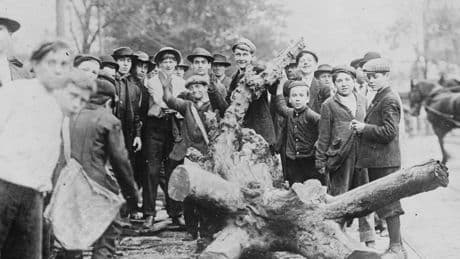 Vintage photos show American life under Trump's tariff hero, William McKinley