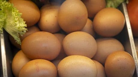 Six high-carb foods that contain more protein than an egg