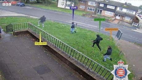 Dog walker chased by gang of three before being stabbed to death