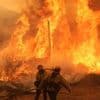 Waldbrand unweit von Los Angeles: Feuerwehr kämpft gegen Flammen – Tausende Menschen auf der Flucht