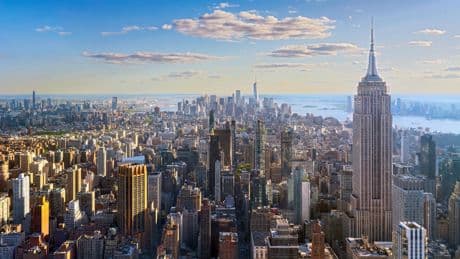 New York, en guerre contre les rats, tente de les stresser pour les empêcher de se reproduire