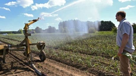Le Nord placé en "vigilance sécheresse" à cause d'un déficit record de pluie