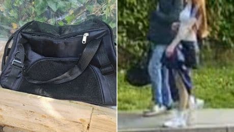 ‘Sadistic’ teen had looked up satanic cat rituals before torturing two kittens to death