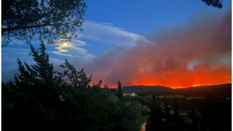 Quand la vigne ne fait plus rempart : au cœur de l’incendie dans l’Aude
