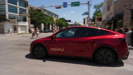 Tesla sales fell 13% in the last three months as anti-Musk sentiment still has an effect