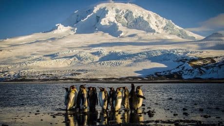 Trump’s Tariffs Hit Even Remote Islands