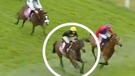 Amateur jockey banned after horse is gifted Cartmel race by blunder with seconds to go