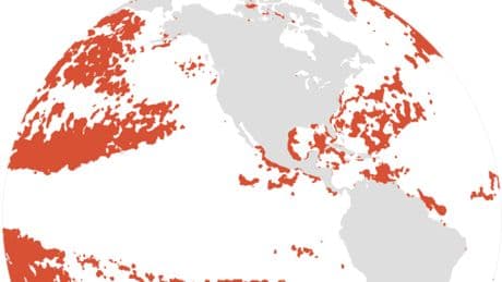 Ocean Temperatures Are Increasing Around the World. See Where.