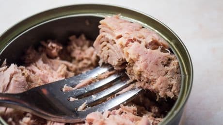 Der beste Dosen-Thunfisch für Ihr Geld: Welche Marke im Test triumphiert